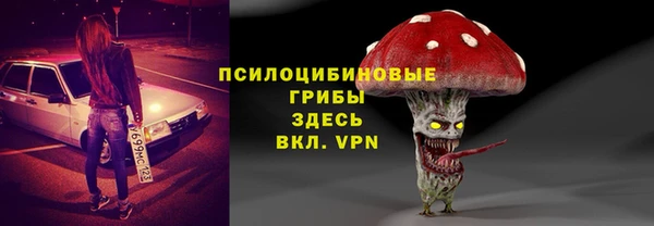 прущая мука Вязники