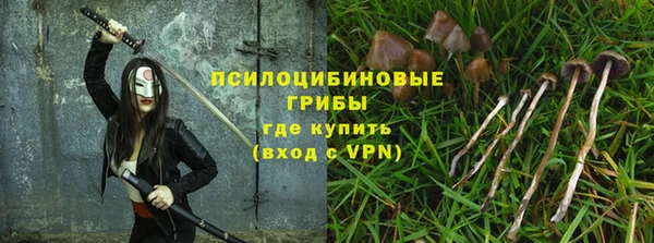 прущая мука Вязники