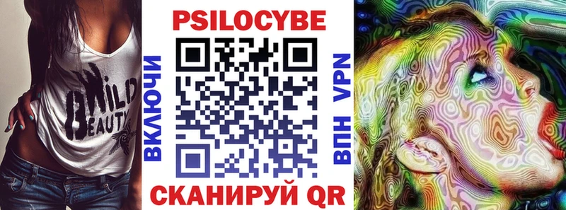 блэк спрут рабочий сайт  Злынка  Псилоцибиновые грибы ЛСД 
