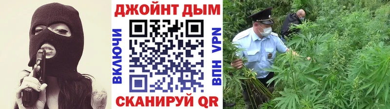 Бошки марихуана марихуана  купить наркоту  Злынка 
